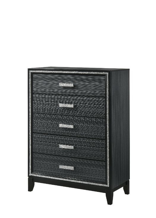Classic design with touches of modern aspects makes this Haiden Chest ideal for any bedroom. The piece offers a rectangular table top and five storage drawers for displaying or organizing. It also features a glamorous shimmering silver accent trim that ad