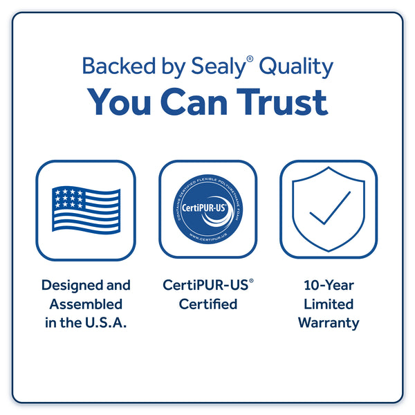 Sealy Golden Spirit Medium Queen Mattress