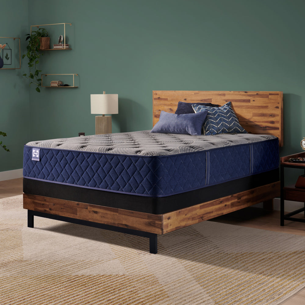 Sealy Golden Spirit Medium Queen Mattress