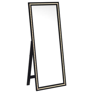 Windrose - Tempered LED Standing Mirror - Black