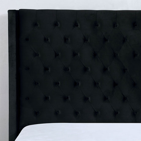 Ryleigh Queen Bed