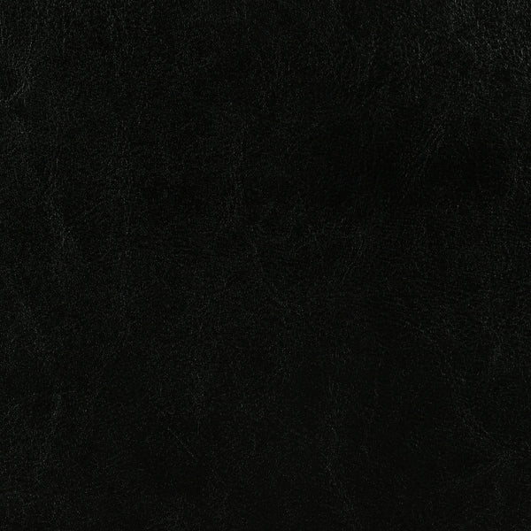 Dorian Faux Leather Upholstered Twin Panel Bed Black
