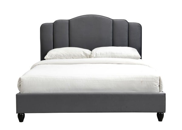 Giada - Eastern King Bed - Charcoal Fabric