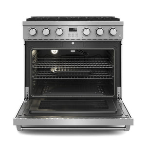 36" Professional Gas Range Basic Model