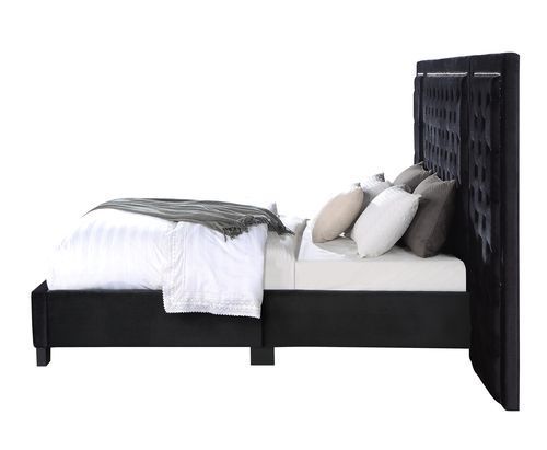 Damazy - Eastern King Bed - Black Velvet