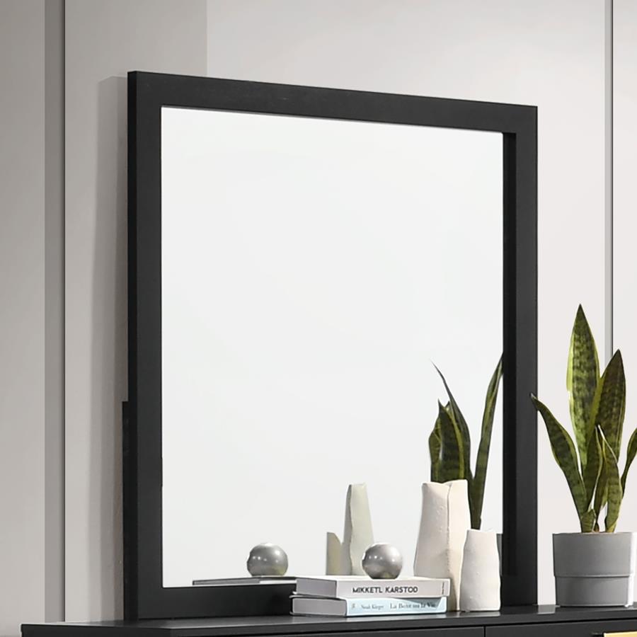 Top off your dresser with this simple and elegantly understated modern mirror. A sleek clean frame surrounds the edges of this rectangular mirror, offering a tall, vertical design against the walls. A smooth, black finish offers a striking contrast, but l