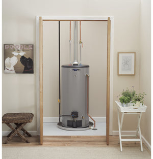 GE RealMAX Premium 40-Gallon Short Liquid Propane Atmospheric Water Heater