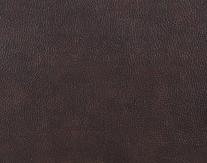 F6795 Motion Sofa