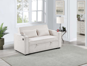 CONVERTIBLE SOFA W/ 2 ACCENT PILLOWS