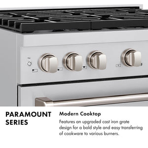 36 in. 5.2 cu. ft. 6 Burner Gas Range with Convection Gas Oven in Stainless Steel