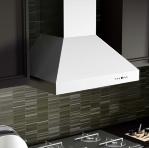ZLINE 30" Convertible Outdoor Wall Mount Range Hood in Outdoor Approved Stainless Steel (667-304-30)
