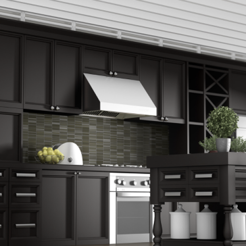 ZLINE 42" Ducted Wall Mount Range Hood in Outdoor Approved Stainless Steel (697-304-42)
