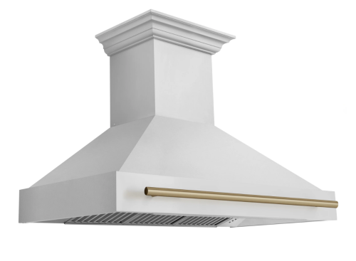 ZLINE 48"  Autograph Edition Stainless Steel Range Hood with Stainless Steel Shell and Champagne Bronze Handle