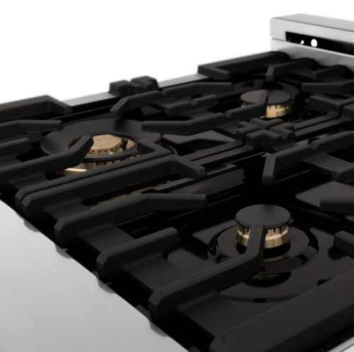 ZLINE 24" 2.8 cu. ft. Electric Oven and Gas Cooktop Dual Fuel Range with Griddle and Brass Burners in Stainless Steel (RA-BR-GR-24)
