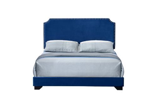 Haemon - Queen Bed - Blue Fabric