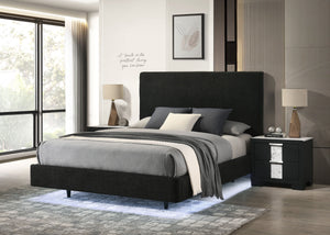 Fable - Queen Bed - Black Boucle