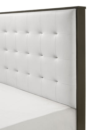  featuring a clean-lined design with a warm dark finish. The centerpiece is a bed with a stylish tufted headboard