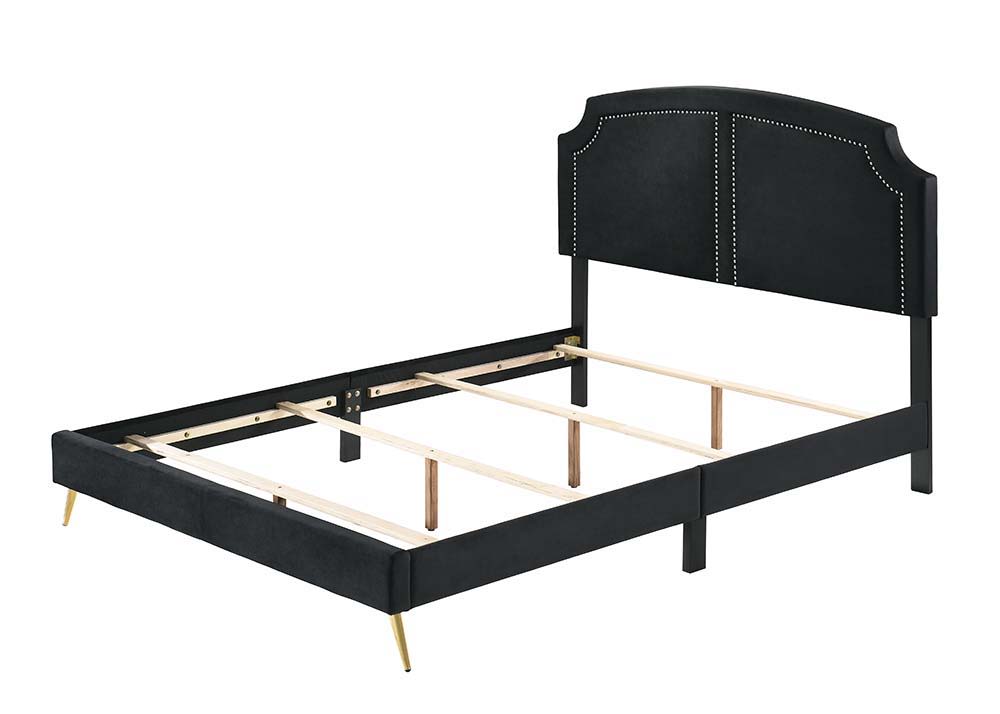 Black and gold are the embodiment of sophistication and chicness. Enjoy a good night-'s sleep with this Zeena contemporary bed. Gold-finished nailhead trim on the headboard lends a refined touch. Perched on beautiful and sturdy gold metal tapered legs tha