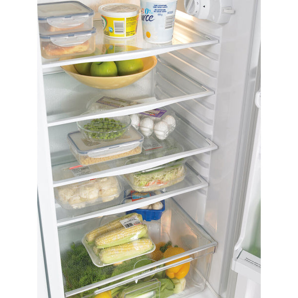 11 CuFt. All Refrigerator,Interior Light,Worktop,Crisper