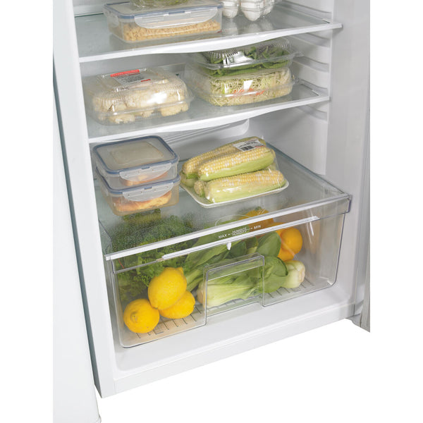 11 CuFt. All Refrigerator,Interior Light,Worktop,Crisper