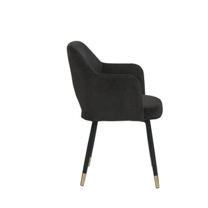Applewood - Accent Chair - Black Velvet & Gold