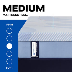 Posturepedic Plus - Hagerstown Media - King