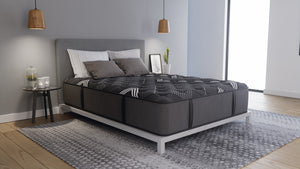 Daniel's Sleep Slumber 3.0 12.5 Queen Mattress