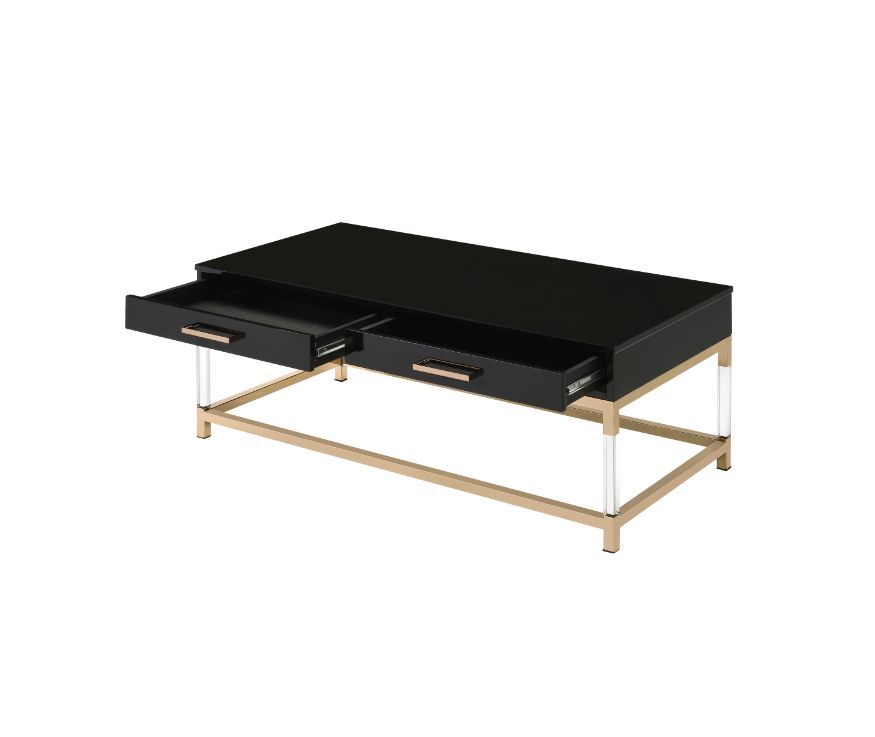 Match your seating ensemble with this Adiel Coffee Table to lend a modern flair to your living room. The beautiful metal frame in gold finish adds a touch of glam to this contemporary piece, with clear acrylic legs that elegantly frame the design. The met