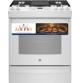 GE® 30