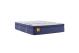 Sealy Golden Elegance - Elegant Gold Innerspring Plush Euro Pillow Top - California Twin Mattress