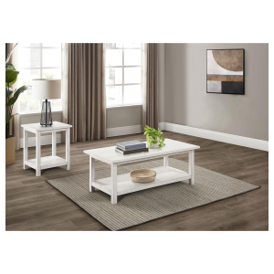 Payne - 2 Piece Coffee And End Table Set - Distressed White