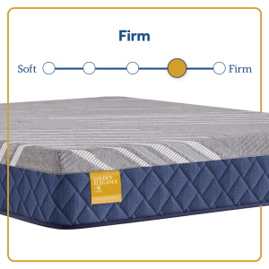 Royal Park - Firm Mattress - Queen