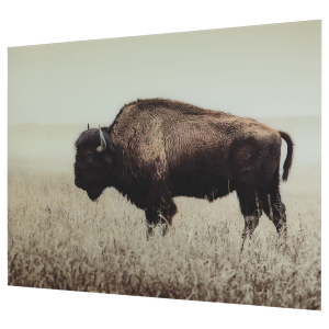 Brutus - Wall Art - Sepia