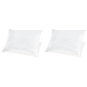 Zephyr 2.0 - Cotton Pillow (Set of 2) - White