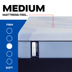 Posturepedic Plus - Hagerstown Medium - Twin Long
