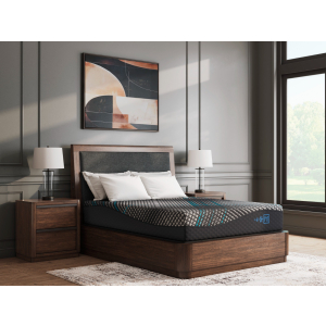 Millennium 2.0 Foam 12 Inch - Queen Mattress - Black